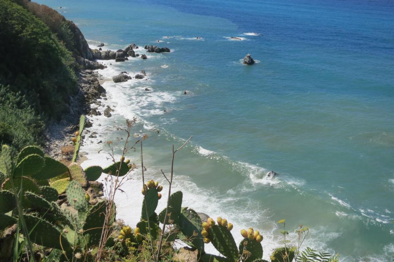 Il Limoneto, Casa Vacanze Parghelia-Tropea Villa Dış mekan fotoğraf