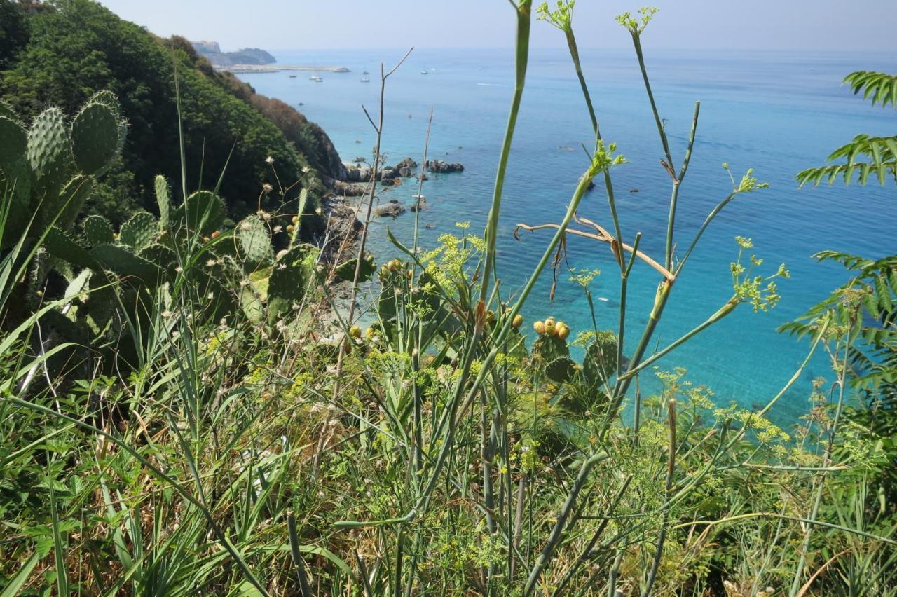 Il Limoneto, Casa Vacanze Parghelia-Tropea Villa Dış mekan fotoğraf